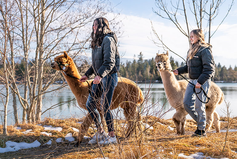 Dekoratives Bild Dekoratives Bild